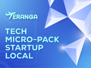 T04 -Teranga Tech micro-pack startup local